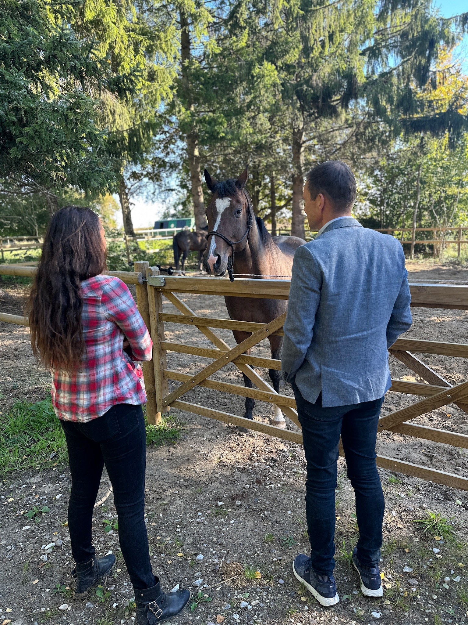 Teamudvikling med heste