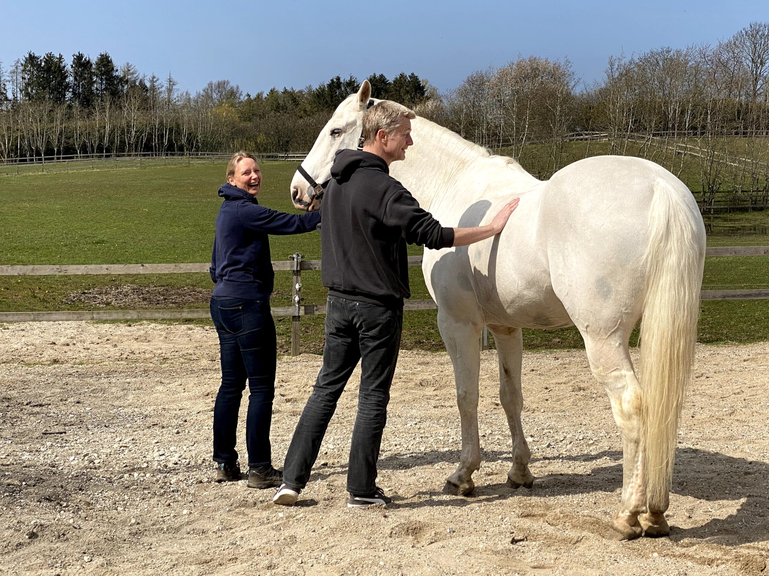 Hesteassisteret teamudvikling i Nordsjælland